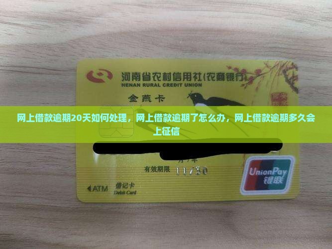 网上借款逾期20天如何处理