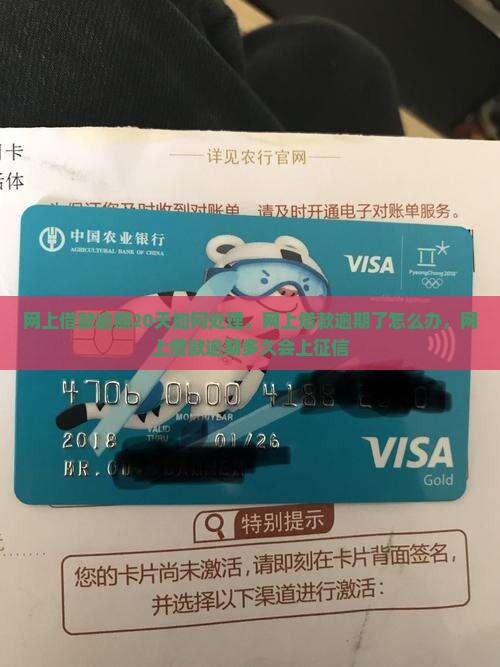 网上借款逾期20天如何处理
