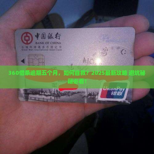 360借条逾期五个月了怎么办