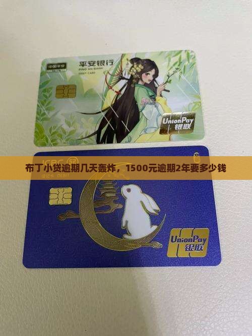 布丁小贷逾期几天轰炸