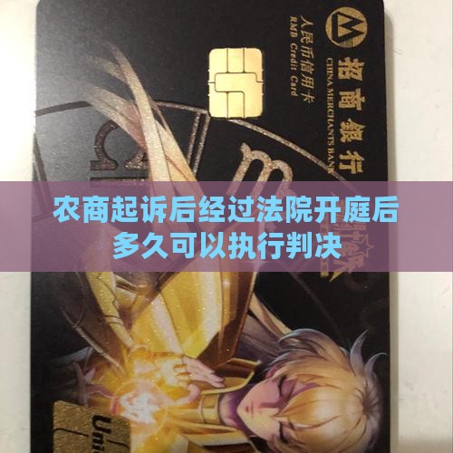 农商起诉后经过法院开庭后多久可以执行判决