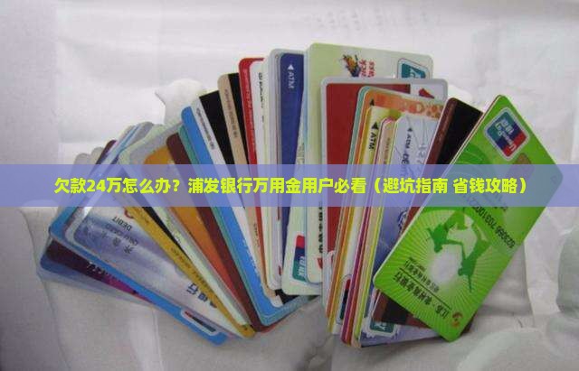 浦发银行万用金欠款24万怎么办