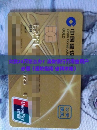 浦发银行万用金欠款24万怎么办