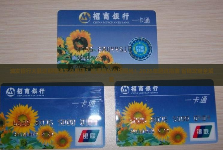 浦发银行大额逾期催收怎么处理