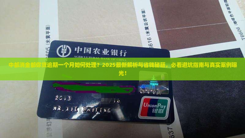 中邮消金邮你贷逾期一个月该怎么处理