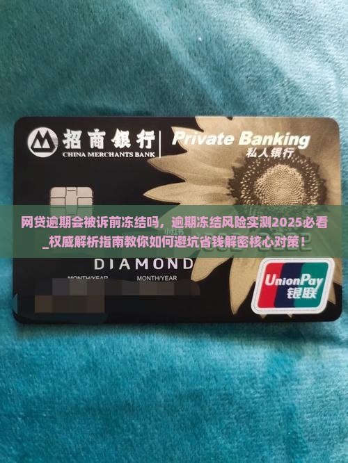 网贷逾期会被诉前冻结吗