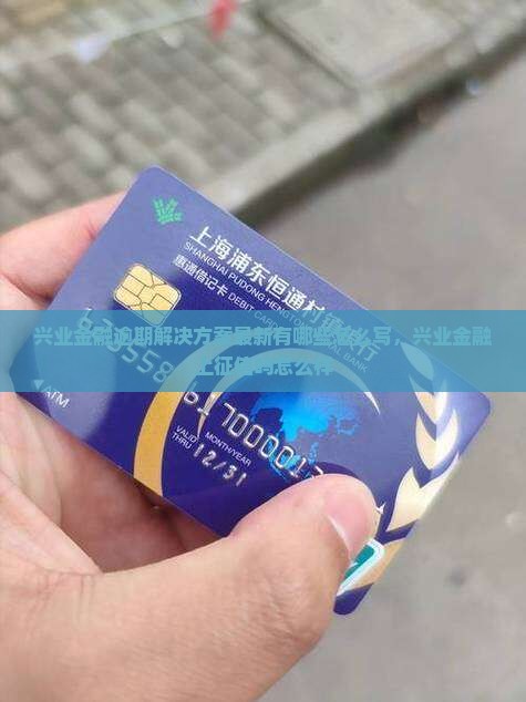兴业金融逾期解决方案