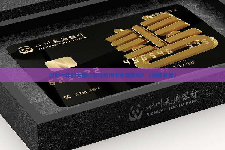 银行信用卡村信用社信用卡逾期一年后的处理方法