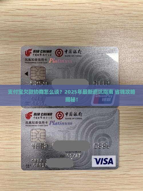 支付宝欠款协商详细流程