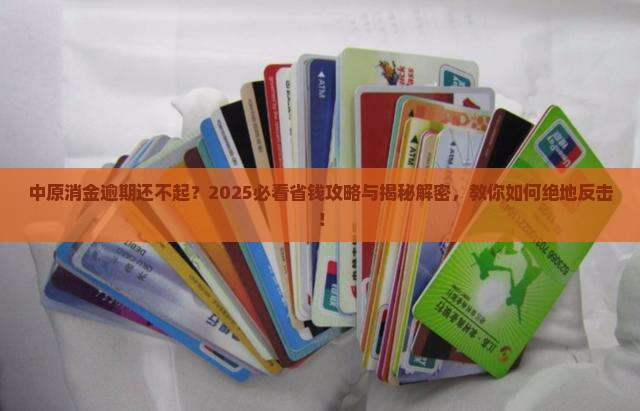 中原消金逾期还不起怎么办解决方法