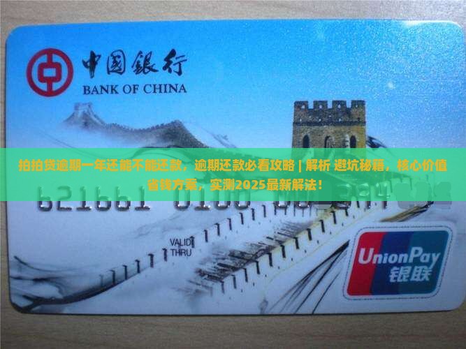 拍拍贷逾期一年还能不能还款