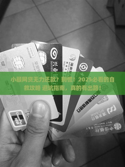 小额网贷无力还款怎么办