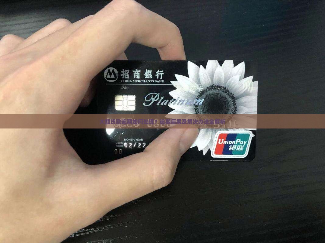 大额贷款逾期如何处理