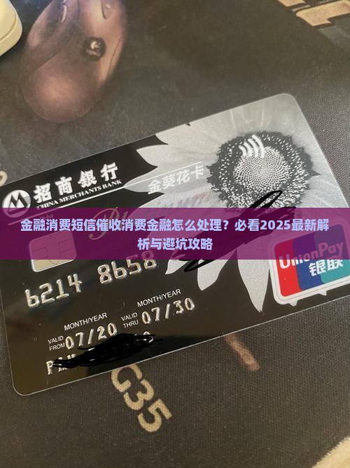 催收发短信只显示消费金融如何处理