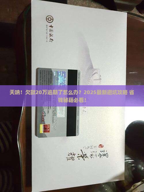 360逾期了20万 360逾期了20万