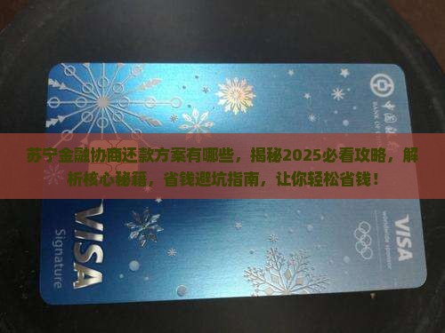 苏宁金融协商还款方案有哪些