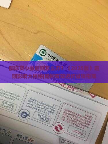 邮你贷小额逾期如何处理