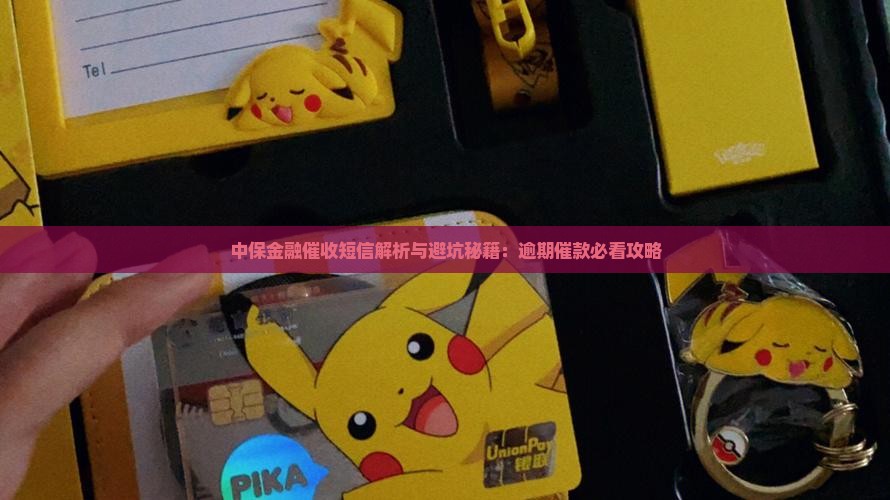中保金融催款短信