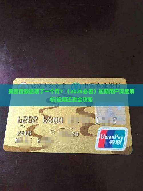 美团借款逾期了一个月
