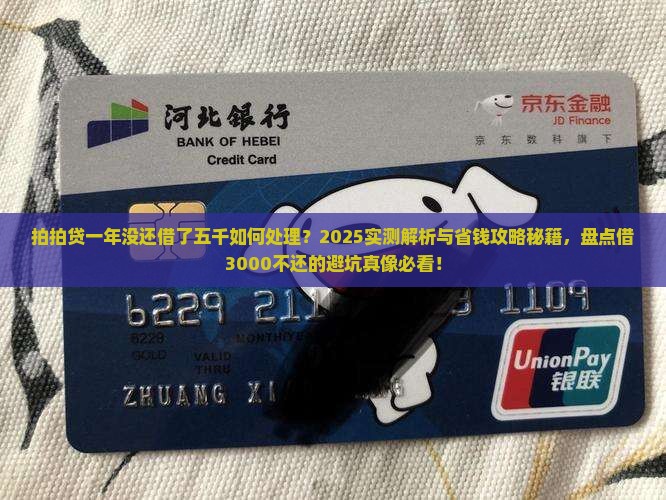 拍拍贷一年没还借了五千如何处理