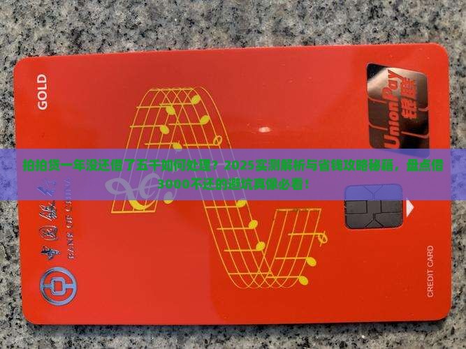 拍拍贷一年没还借了五千如何处理