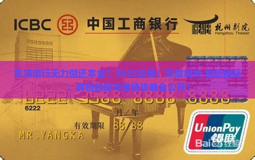 东海银行无力偿还本金