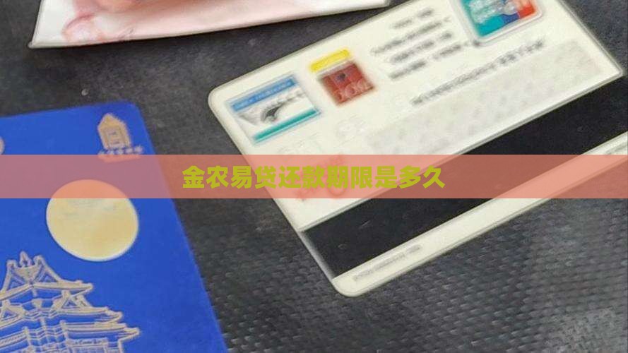 金农易贷还款期限是多久