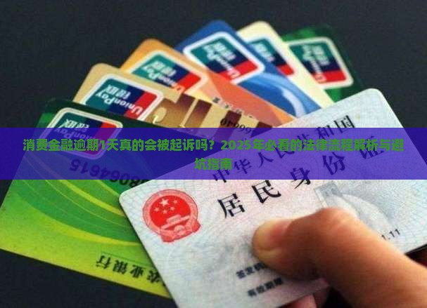 消费金融逾期1天起诉案例的法律流程是怎样的