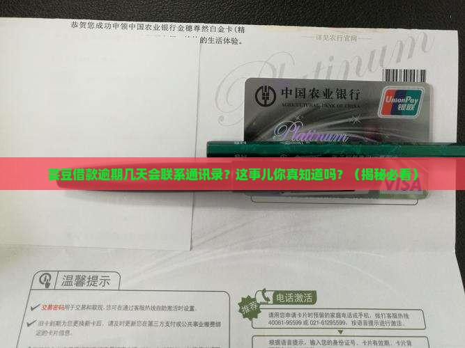 芸豆借款逾期几天报通讯录