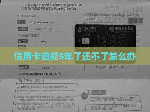 信用卡逾期5年了还不了怎么办