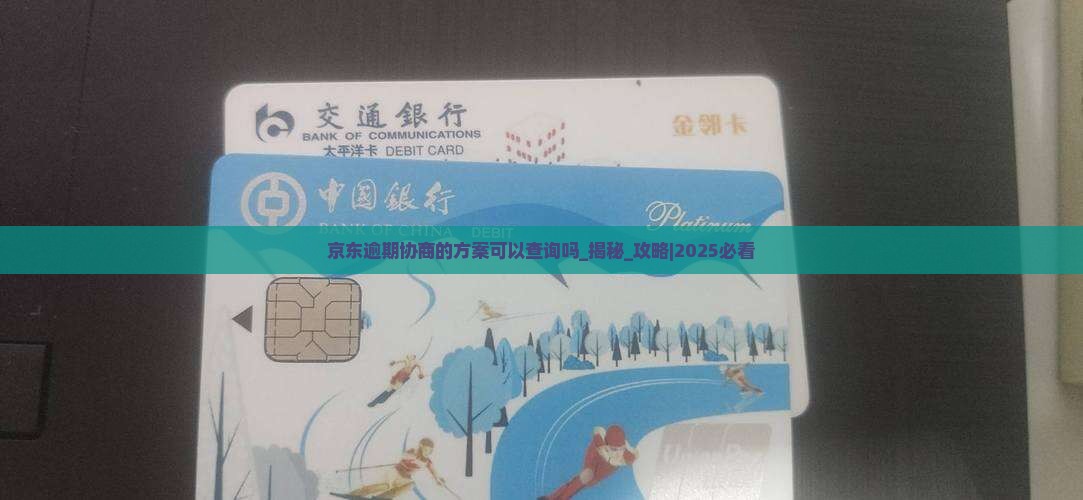 京东逾期协商的方案可以查询吗