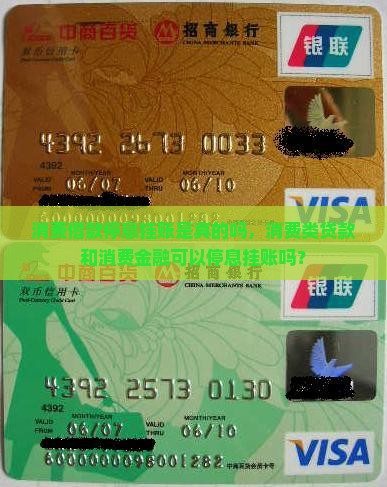 消费借款停息挂账是真的吗