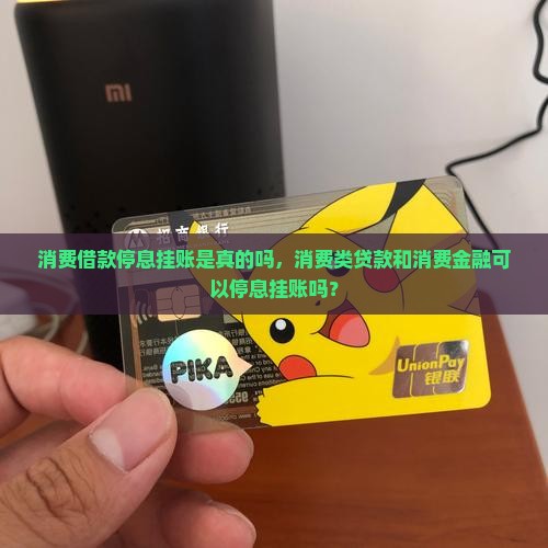 消费借款停息挂账是真的吗