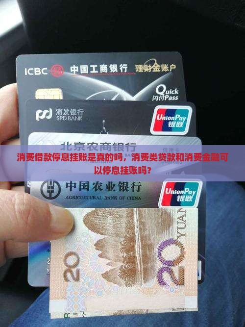 消费借款停息挂账是真的吗
