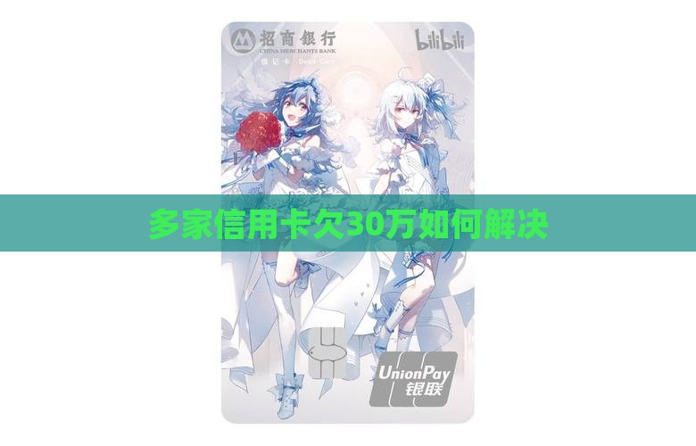 多家信用卡欠30万如何解决
