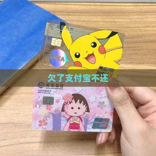 欠了支付宝不还