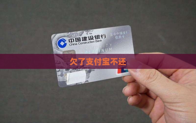 欠了支付宝不还