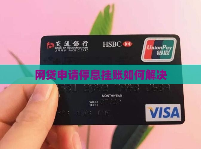 网贷申请停息挂账如何解决