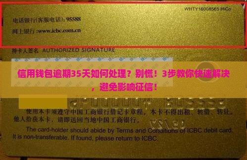 信用钱包逾期35天如何处理
