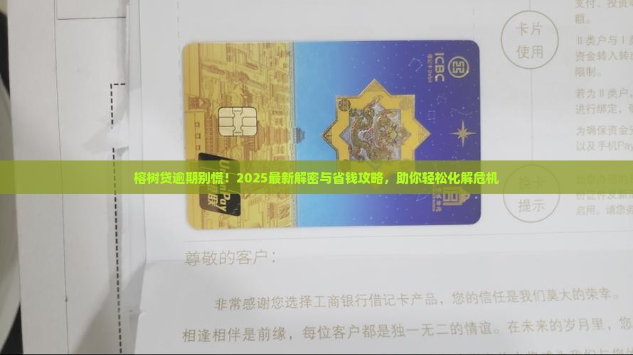 榕树贷逾期怎么处理