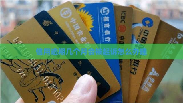 信用逾期几个月会被起诉怎么办理