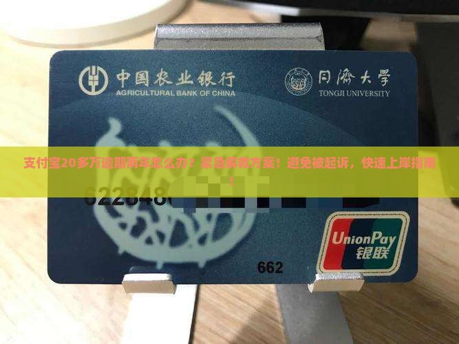 支付宝20多万逾期两年怎么办