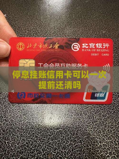 停息挂账能一次还完么