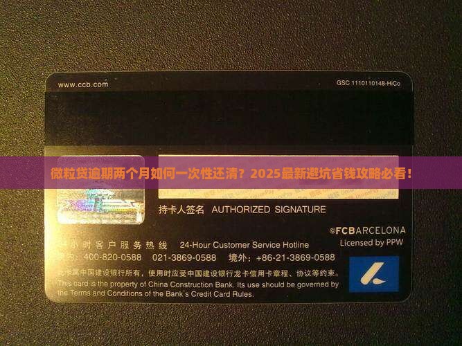 微粒贷逾期两个月如何还全款