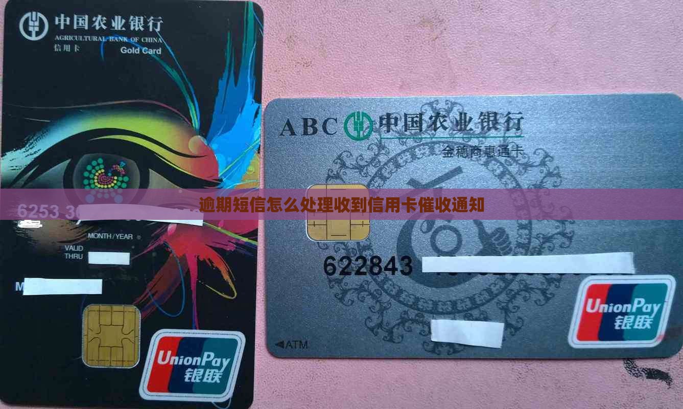 短信发信用卡逾期通知处理方法