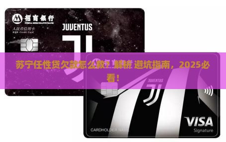 苏宁任性贷欠款应该如何处理