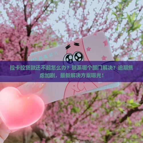 拉卡拉贷款还不起怎么办应该联系哪个部门解决