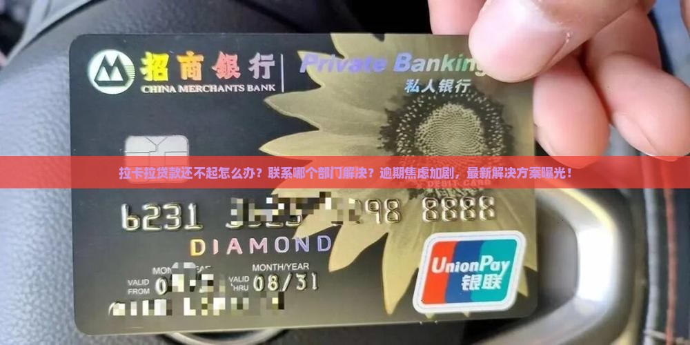拉卡拉贷款还不起怎么办应该联系哪个部门解决