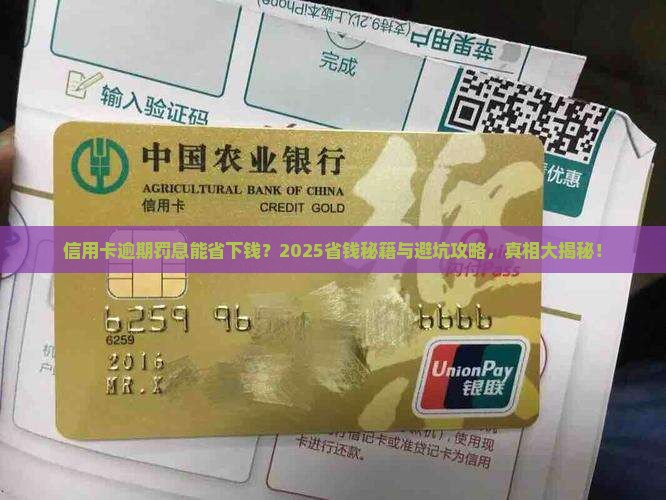 信用卡逾期罚息有减免的吗