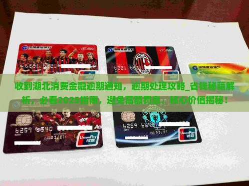 收到湖北消费金融逾期通知